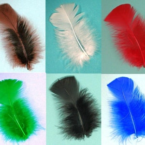 30 Pcs Turkey Plumage 14 Feathers BLACK for Craft Hats Halloween Costume Design Fun School Project image 5