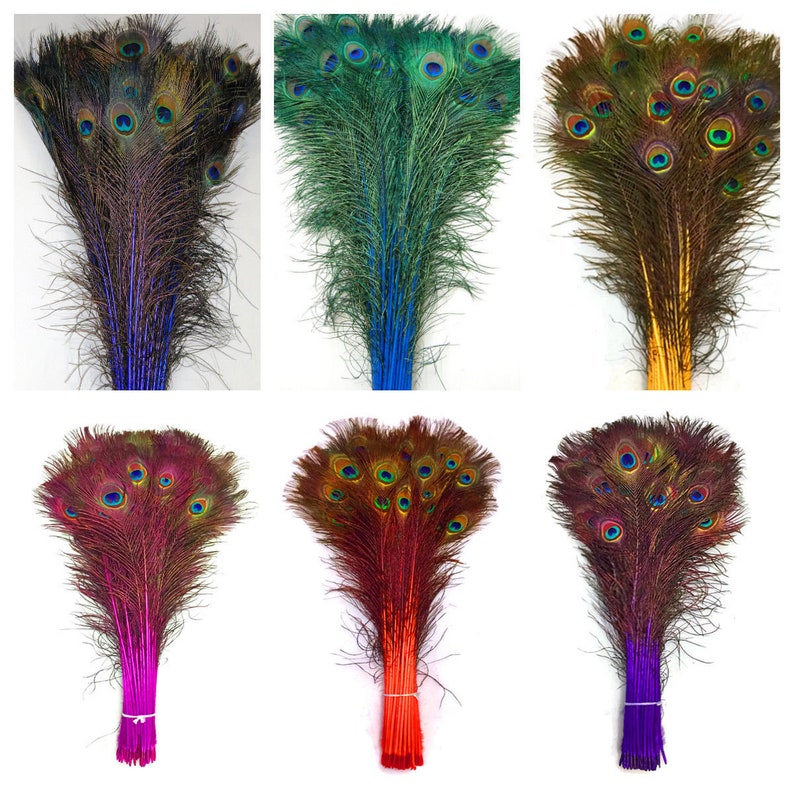 May include: A bunch of peacock feathers in various colors, including blue, green, red, orange, purple, and yellow. The feathers are arranged in a fan shape and have a natural, iridescent sheen.