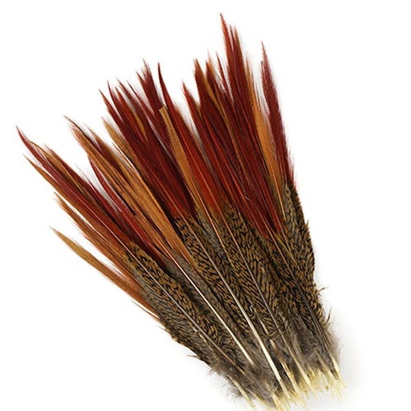 1 GOLDEN Natural Pheasant Feathers RED TIPS 4"-12" for Halloween Craft Costume Centerpieces Hats