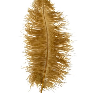 TOPAZ Ostrich Feather Plumes 23&quot;-30&quot; Full and Beautiful for Centerpieces Halloween Costume Vases Craft Theater Hats DIY