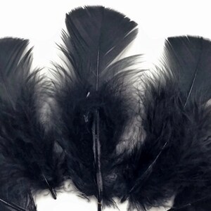 30 Pcs Turkey Plumage 14 Feathers BLACK for Craft Hats Halloween Costume Design Fun School Project image 2