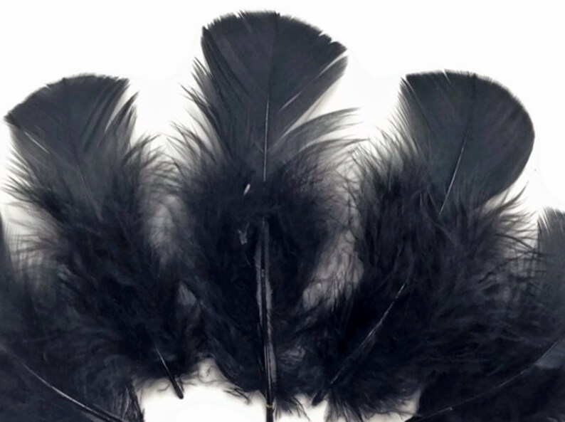 30 Pcs Turkey Plumage 14 Feathers BLACK for Craft Hats Halloween Costume Design Fun School Project image 2