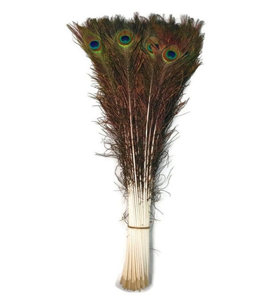 Natural Peacock Feathers, Peacock Feathers Crafts