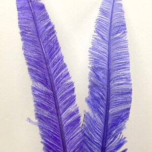 LAVENDER Nandu Ostrich Feather Plumes 20-30&quot; Narrow Trimmed for Halloween Costume Vase Centerpieces DIY Craft Home Decor