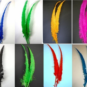 Ostrich NANDU Trimmed Feather PLUMES 20-30" Many Colors (for Wedding Costume Floral Halloween Crafts Centerpieces)