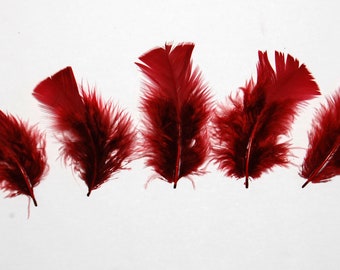 30 Pcs Turkey Plumage 1"-4" Feathers - WINE for Craft Hats Halloween Costume Design Fun School Project