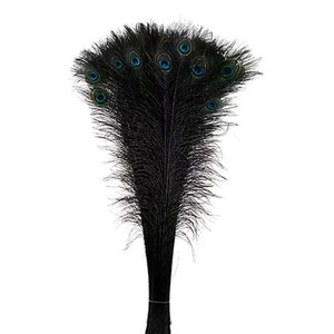 BLACK Dyed PEACOCK Feathers 40&quot;-45&quot; for Costume Halloween Home Decor Vases Bridal Wedding Centerpieces Craft