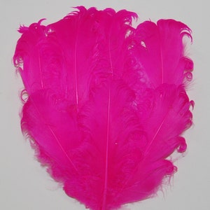 May include: A bunch of bright pink ostrich feathers. The feathers are soft and fluffy, and they would be perfect for a craft project or a costume.