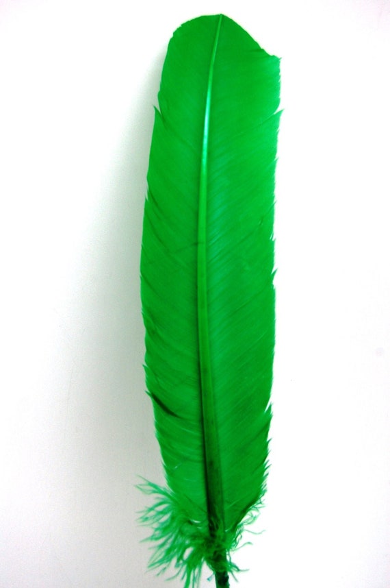 5 Pcs Turkey Quills - KELLY GREEN Feathers
