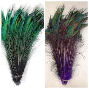 DYED PEACOCK SWORDS Various Colors 10-15” in Length for Halloween Costume Craft Design Theater Mardi-Gras Home Decor Wedding Centerpiece
