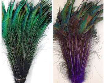 DYED PEACOCK SWORDS Various Colors 10-15” in Length for Halloween Costume Craft Design Theater Mardi-Gras Home Decor Wedding Centerpiece