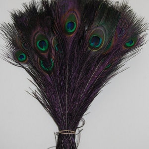 BLEACHED PEACOCK Tail Feathers 10-12 in Many Various Colors for Costume Halloween Home Decor Vases Bridal Wedding Centerpieces Craft DIY Black