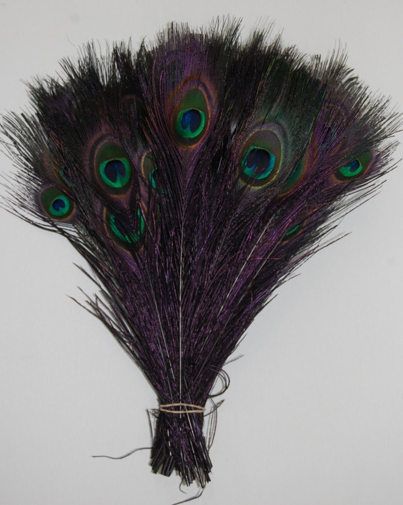 BLEACHED PEACOCK Tail Feathers 10-12 in Many Various Colors for Costume Halloween Home Decor Vases Bridal Wedding Centerpieces Craft DIY Black