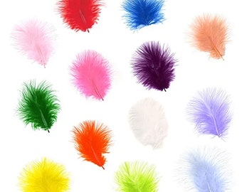 Mixed MARABOU PLUMAGE Feathers 2-5" Many Colors for Crafts Halloween Costume Hats Decor Theater DIY School Projects