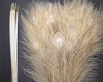 Bleached White Peacock Feathers 30-35&quot; in Height (Big EYES) for Halloween Costume Craft DIY Design Centerpieces Bridal Party