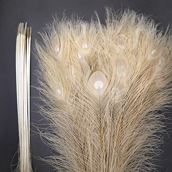 Natural BLEACHED WHITE PEACOCK Feathers 10-40" Many Sizes for Craft Halloween Costume Home Decor