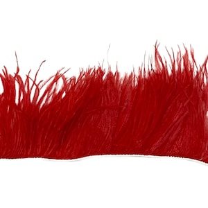 May include: Red ostrich feather trim. The feather trim is soft and fluffy, perfect for adding a touch of elegance to any project.
