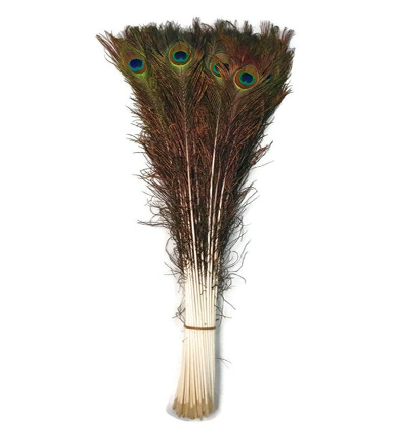 25 Pcs Natural PEACOCK Feathers 20-25 Big EYES image 1