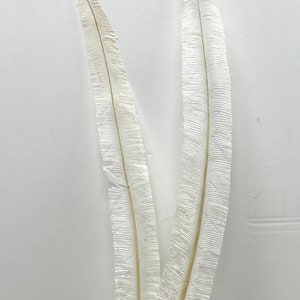 OFF-WHITE Nandu Ostrich Feather Plumes 20-30&quot; Narrow Trimmed for Halloween Costume Vase Centerpieces DIY Craft Home Decor