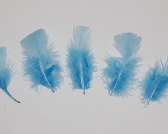 30 Pcs Turkey Plumage 1"-4" Feathers - SKY BLUE for School Craft Hats Halloween Costume Design Fun Project