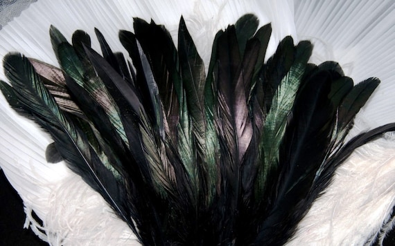 Rooster Tail Coque Feathers 1//4 lb Black Iridescent 16-18/" Length
