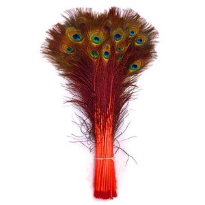 ORANGE Dyed PEACOCK Feathers 40&quot;-45&quot; for Costume Halloween Home Decor Vases Bridal Wedding Centerpieces Craft