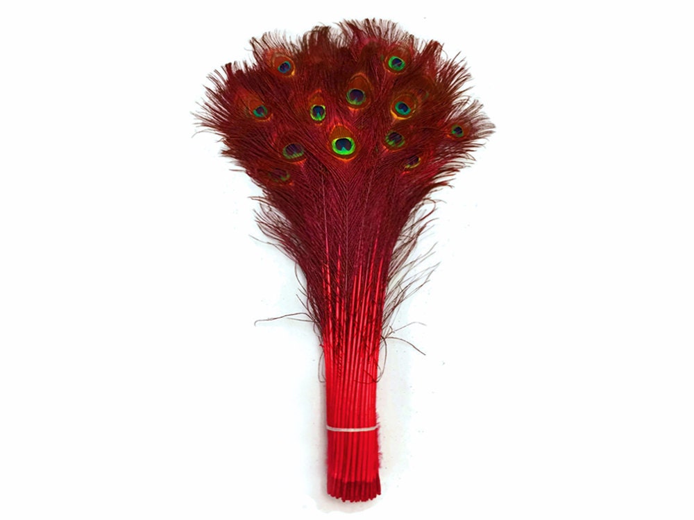 100 Pieces Burgundy Bleached & Dyed Peacock Tail Eye Wholesale Feathers bulk  10-12 Long Halloween Craft Supply : 1306 