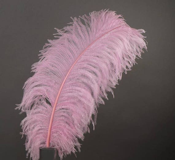 LIGHT PINK Ostrich Feather Plumes 23-30 Full and Beautiful for  Centerpieces Halloween Costume Vases Craft Theater Hats DIY