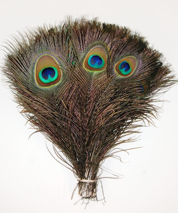 100 Pcs Natural Peacock Feathers 10-12 in Height Beautiful for Crafts,  Halloween, Costumes, Hats, DIY Design & More 