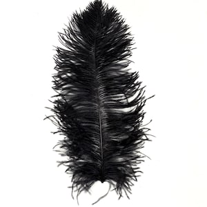 Black Ostrich Feather Plumes 10&quot;-18&quot; for Centerpieces Craft Home Decor Design DIY