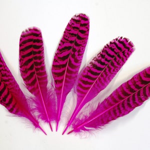 2 Stück gefärbt Pfau Federn 6&quot;-10&quot;-HOT PINK