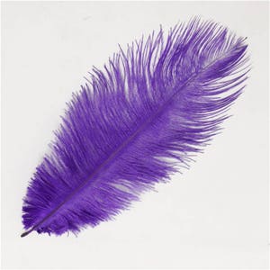 PURPLE Ostrich Feather Plumes 10&quot;-18&quot; for Centerpieces Craft Home Decor Design DIY
