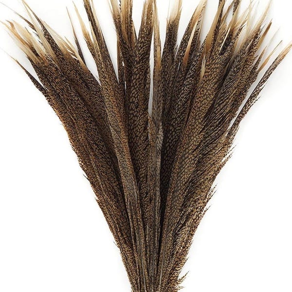 1 GOLDEN Natural Pheasant Feathers CENTERS 20"-30" for Halloween Craft Costume Centerpieces Hats DIY
