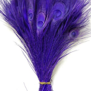 BLEACHED PEACOCK Tail Feathers 10-12 in Many Various Colors for Costume Halloween Home Decor Vases Bridal Wedding Centerpieces Craft DIY Purple