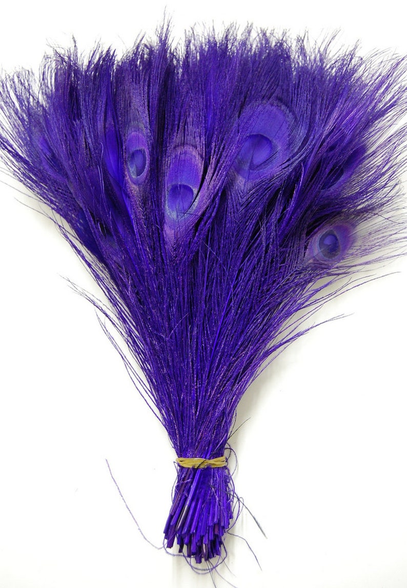 BLEACHED PEACOCK Tail Feathers 10-12 in Many Various Colors for Costume Halloween Home Decor Vases Bridal Wedding Centerpieces Craft DIY Purple