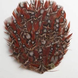PHEASANT フェザーパッド : P80 (ヘッドバンド/帽子/ハロウィン/コスチューム)
