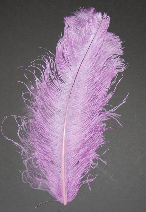 Lilac on sale ostrich feathers