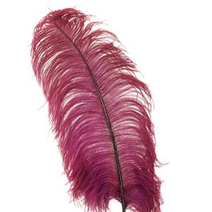 BURGUNDY Ostrich Feather Plumes 18-23&quot; for Halloween Costume Table Centerpieces Bridal Vase DIY