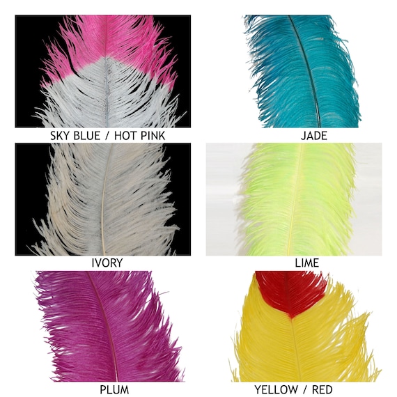 10Pcs Ostrich Feathers for DIY Jewelry Making Dream Catcher Decorations  Table Centerpiece Vase Craft Supplies Wedding Accessory