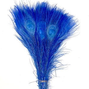 BLEACHED PEACOCK Tail Feathers 10-12 in Many Various Colors for Costume Halloween Home Decor Vases Bridal Wedding Centerpieces Craft DIY Sky Blue
