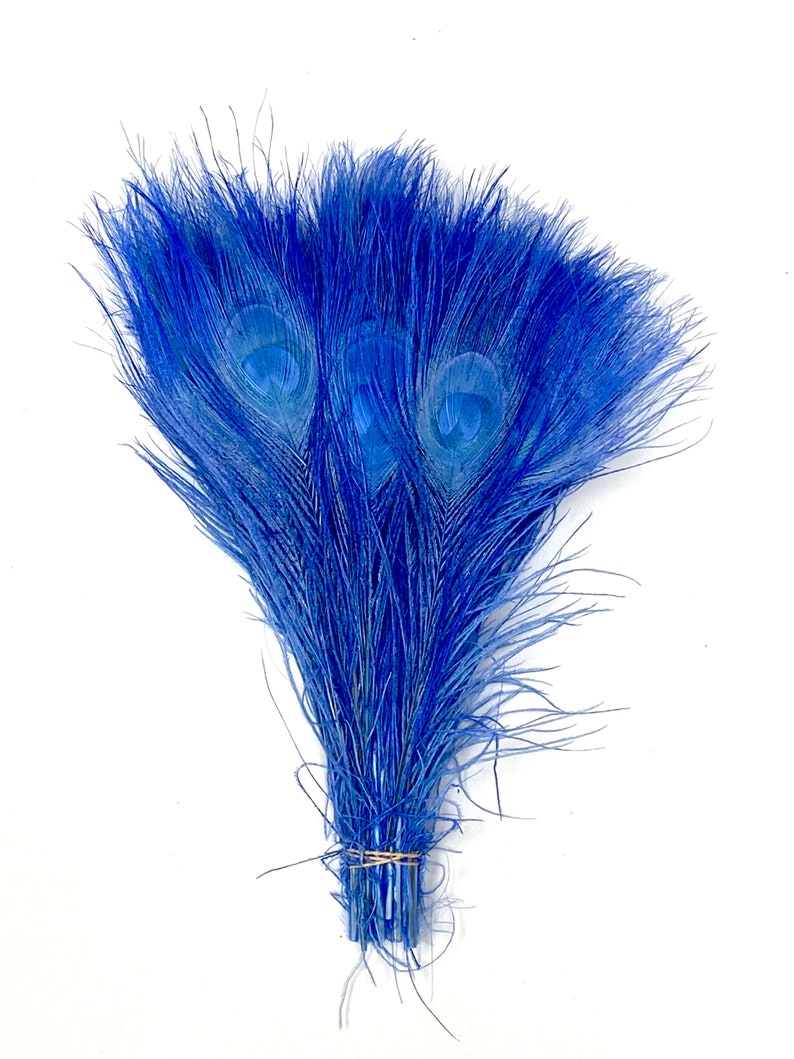 BLEACHED PEACOCK Tail Feathers 10-12 in Many Various Colors for Costume Halloween Home Decor Vases Bridal Wedding Centerpieces Craft DIY Sky Blue