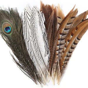 Plumas de faisán y pavo real naturales mezcladas, faisán plateado/dorado/Reeves de 10 &quot;-12&quot; para manualidades, disfraces de Halloween, teatro, diseño en casa, bricolaje