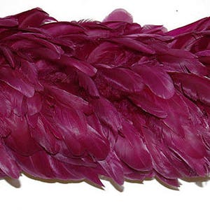 PLUM Feather COQUE BOA 72&quot; in Length 4-7&quot; in Width for Halloween Costume Burlesque Dance Theater Production