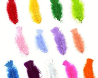 Mixed TURKEY PLUMAGE Feathers 1-5" Many Colors for Crafts Halloween Costume Hats Decor Theater DIY