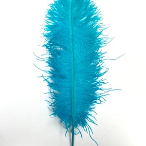 LIGHT TURQUOISE Ostrich Feather Plumes 18-23&quot; for Centerpieces Halloween Costume Hats Bridal Dress Theater Vase DIY