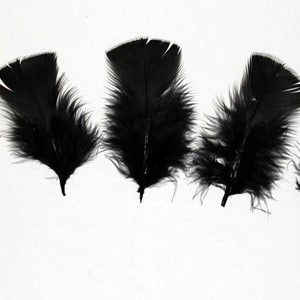 30 Pcs Turkey Plumage 14 Feathers BLACK for Craft Hats Halloween Costume Design Fun School Project image 1