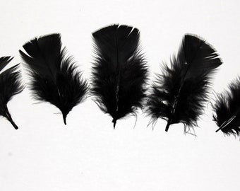30 Pcs Turkey Plumage 1"-4" Feathers - BLACK for Craft Hats Halloween Costume Design Fun School Project