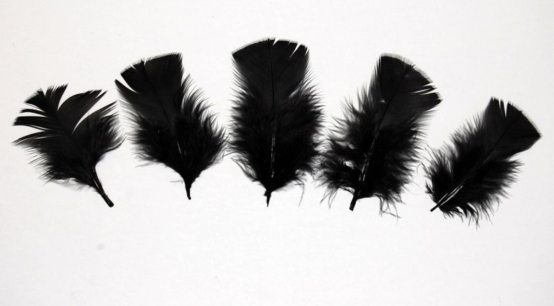 30 Pcs Turkey Plumage 14 Feathers BLACK for Craft Hats Halloween Costume Design Fun School Project image 1