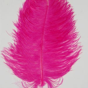 SHOCKING PINK Ostrich Feather Plumes 10&quot;-18&quot; for Centerpieces Craft Home Decor Design DIY