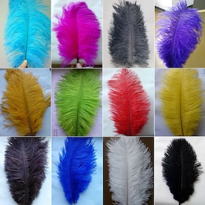 OSTRICH Feather PLUMES 10"-18" in Many Various Colors for Centerpieces Craft Home Decor Design DIY